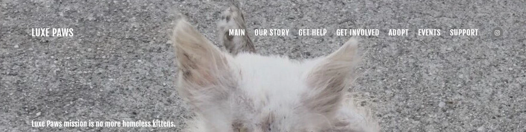4. High End Pet Store Names